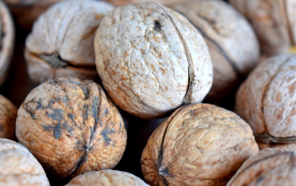 Tasty nutrition food