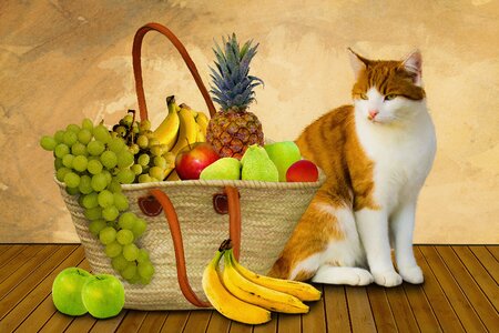 Fruit basket purchasing healthy