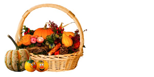 Basket pumpkin season