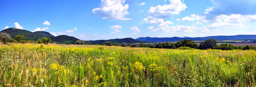 Green nature landscape