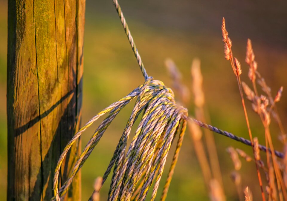Pile pasture demarcation
