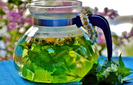 Fresh herbs drink photo