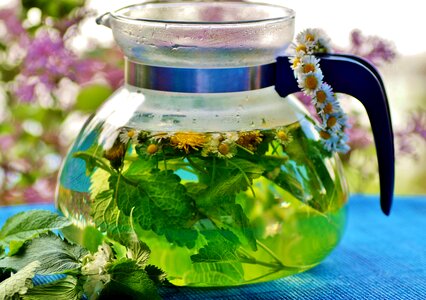 Fresh herbs drink photo