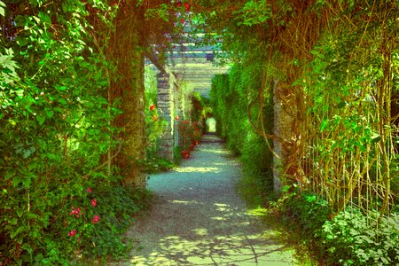 Romantic plant away