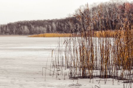 Cold frozen landscape photo