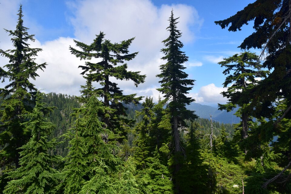 Travel adventure canada