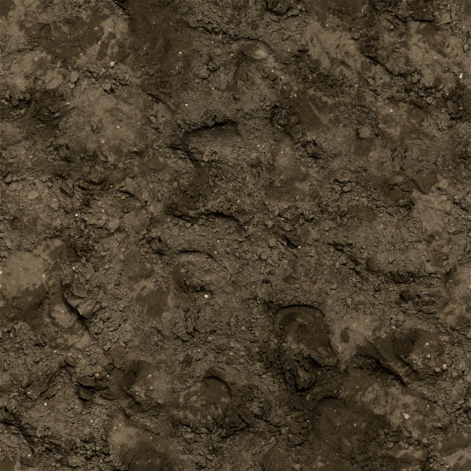 Brown Mud photo