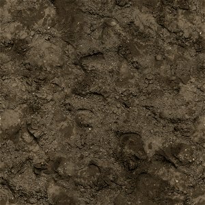 Brown Mud photo