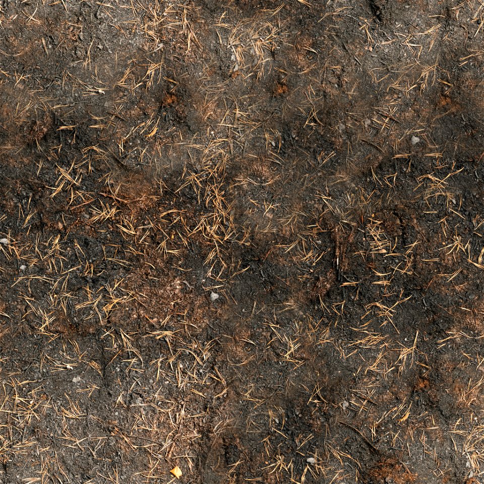 Burned Ground