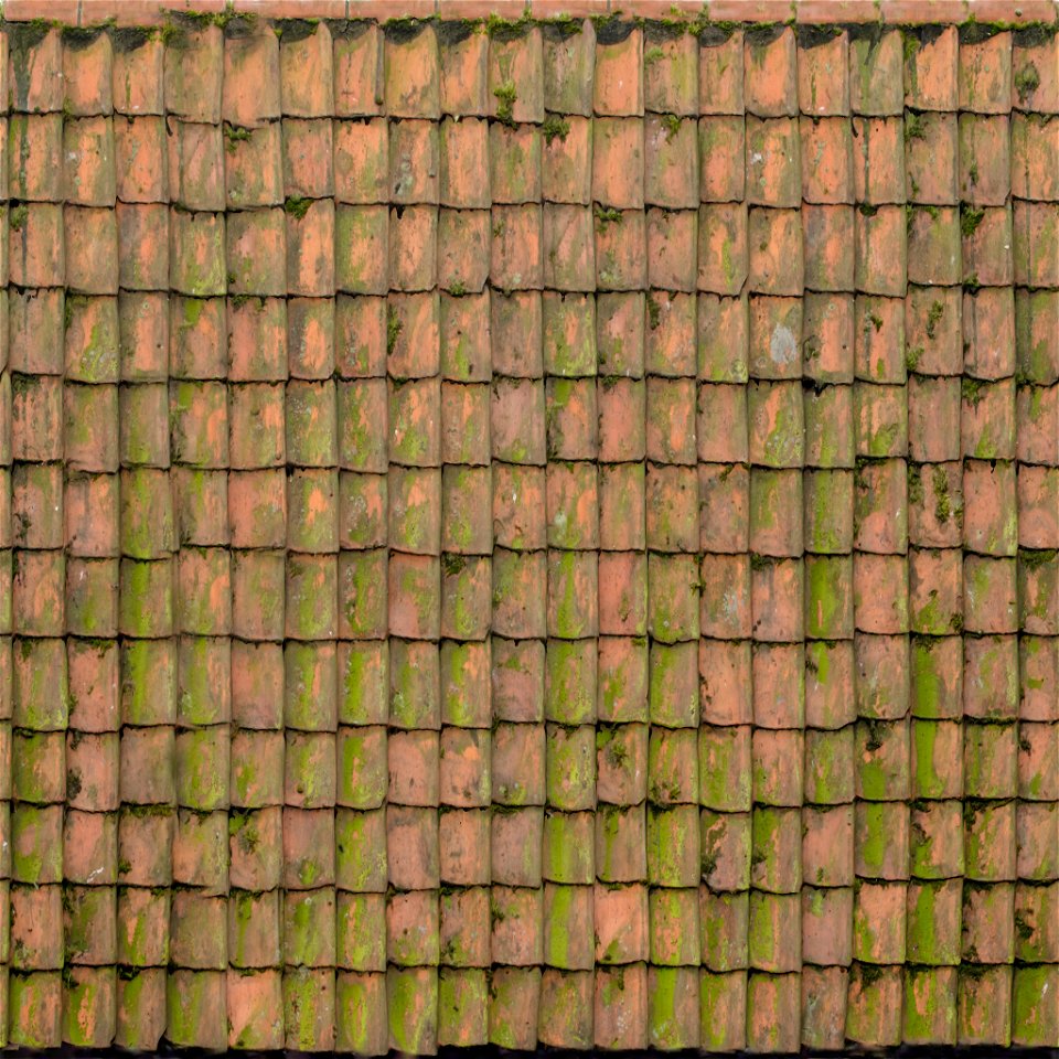 Ceramic Roof
