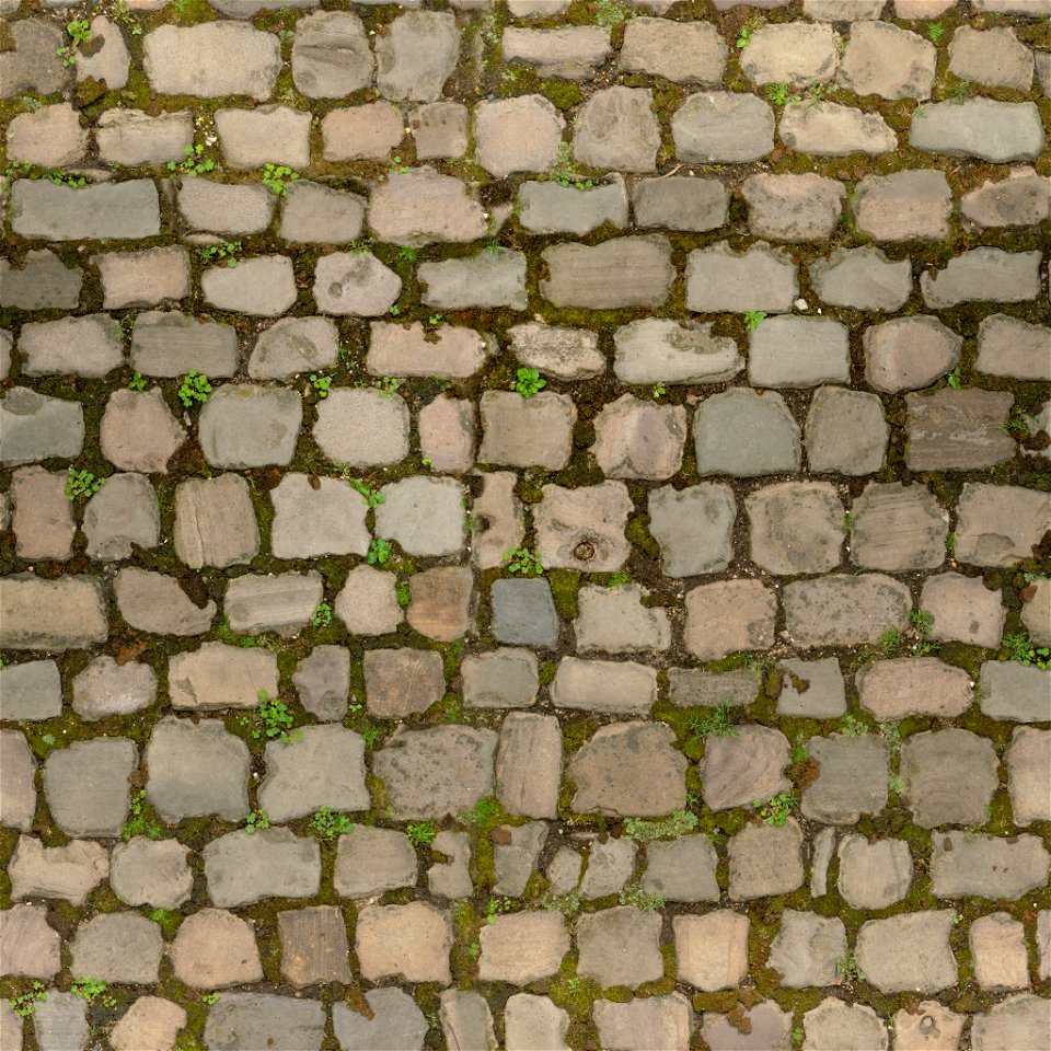 Cobblestone Floor