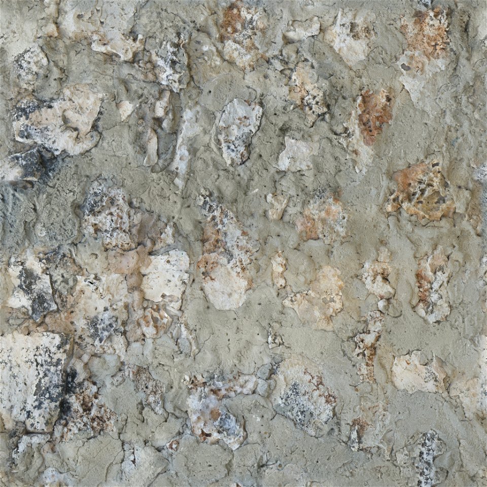 Coral Fort Wall