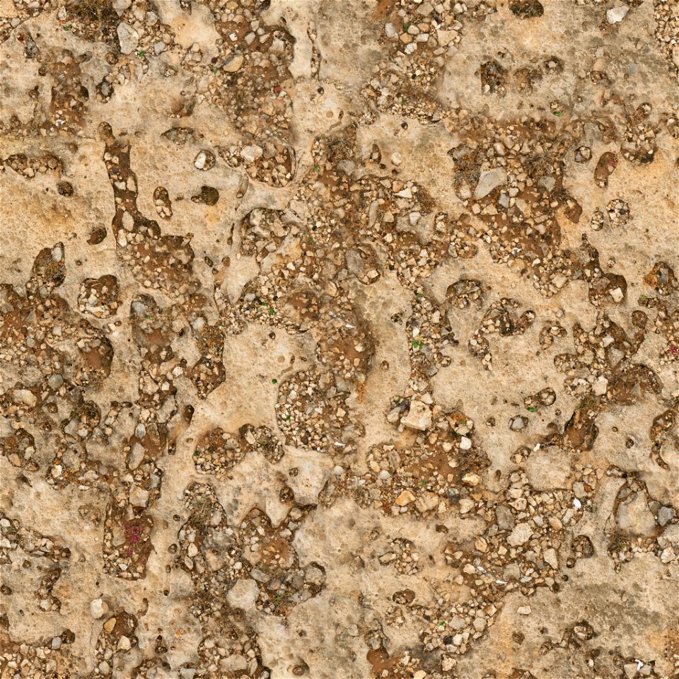 Coral Mud photo