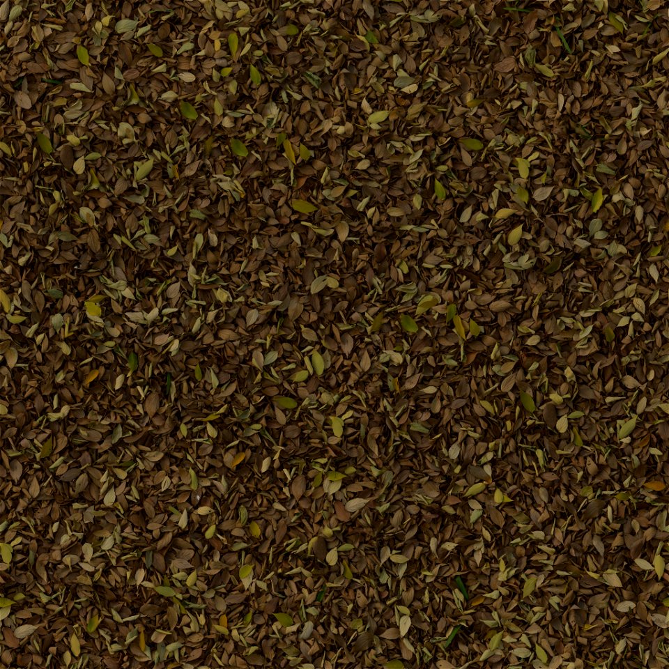 Forest Leaves