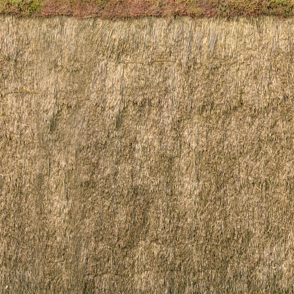 Reed Roof