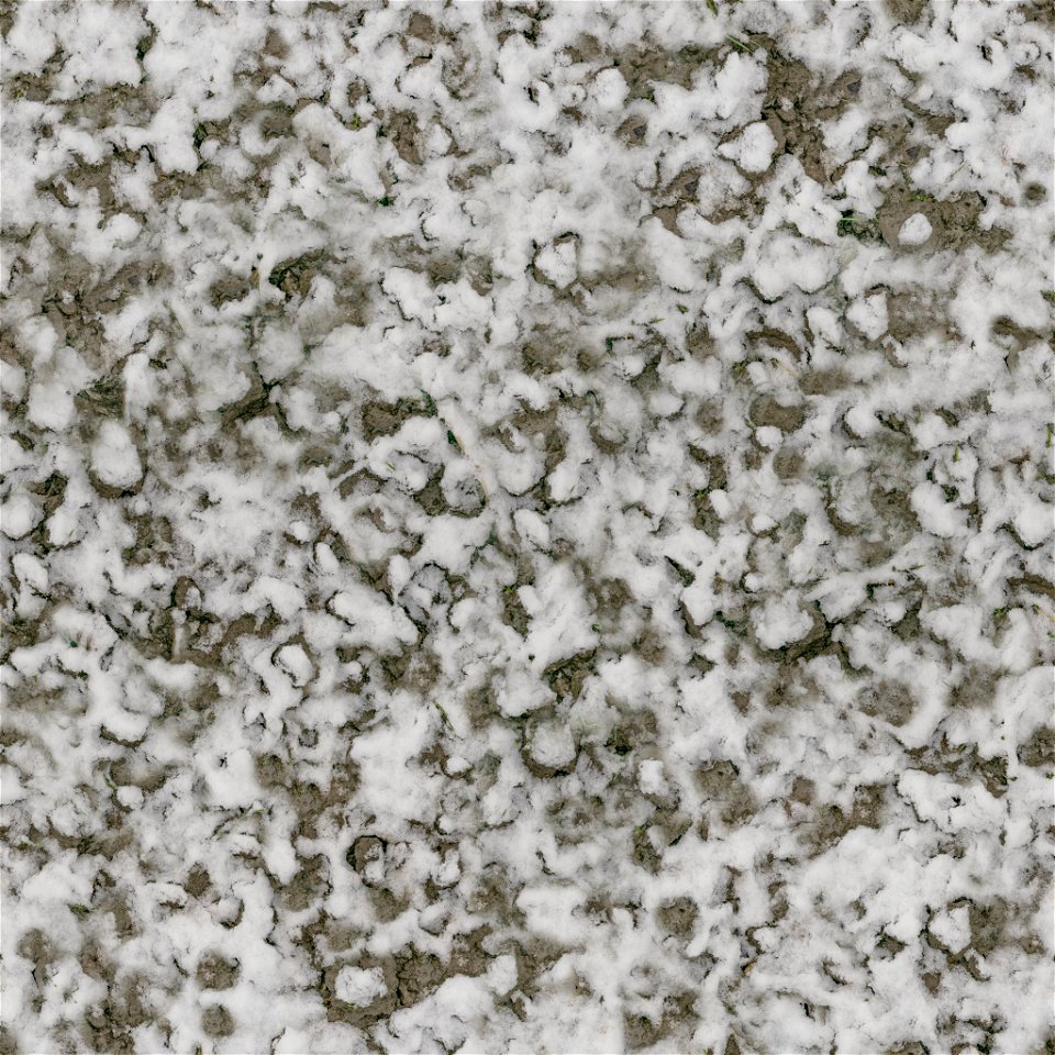 Snow
