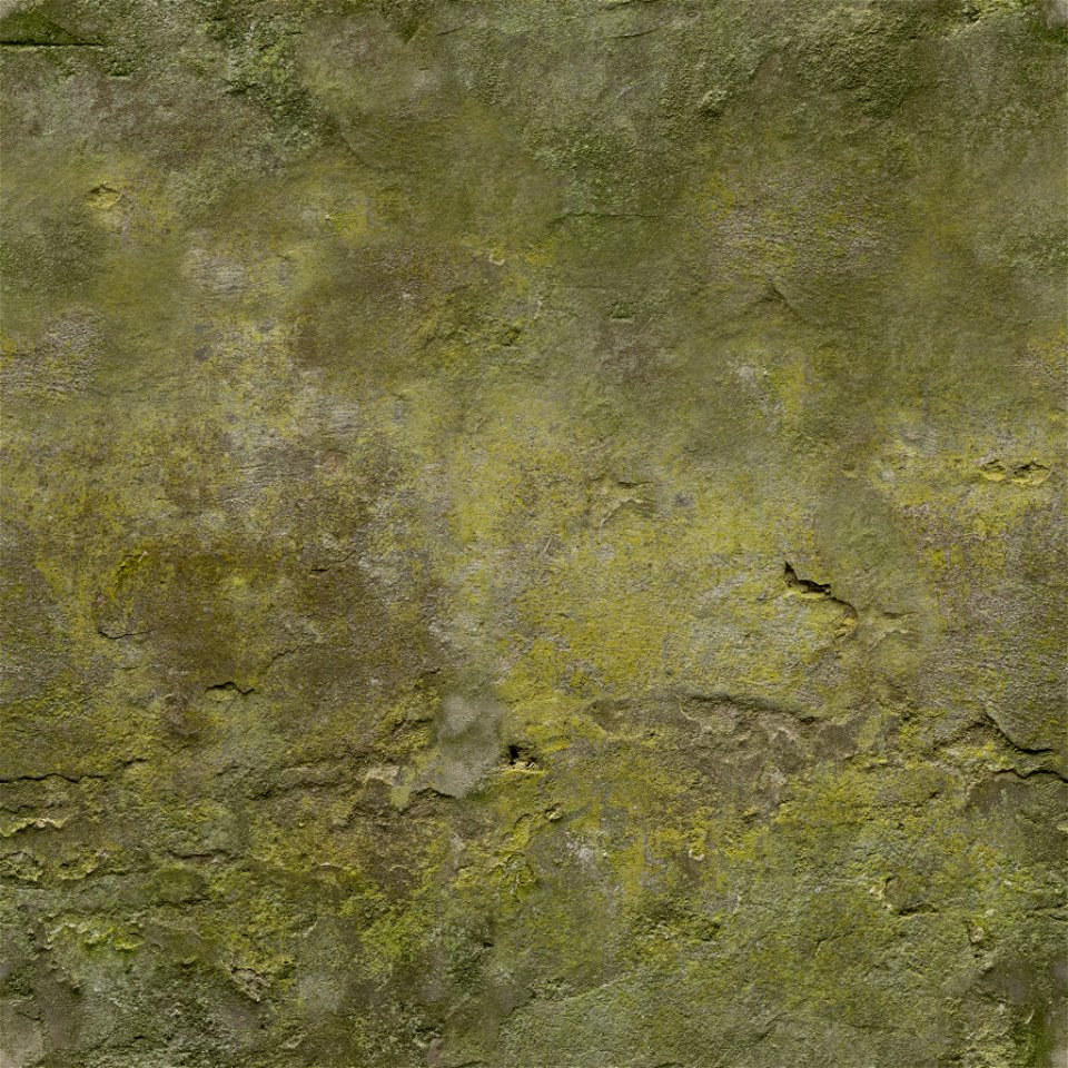 White Plaster Rough