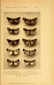 n372_w1150