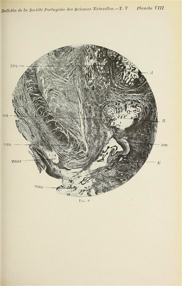 n298_w1150