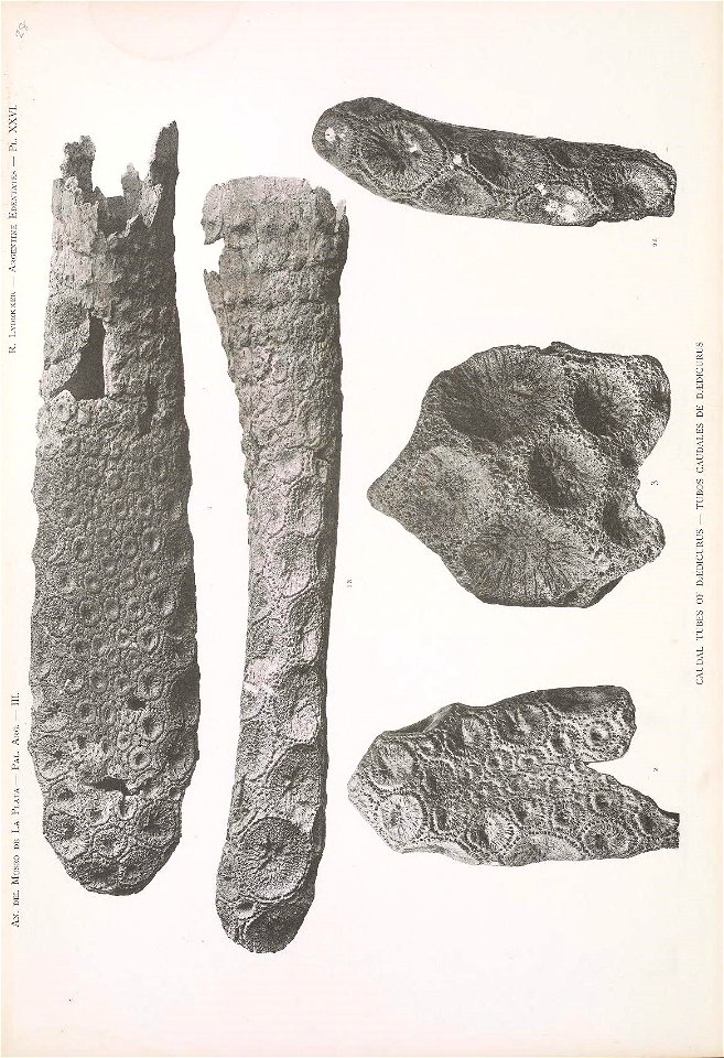 n198_w1150