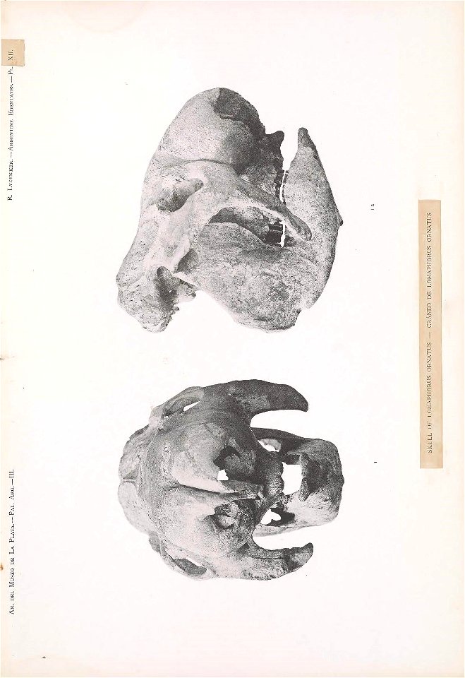 n168_w1150