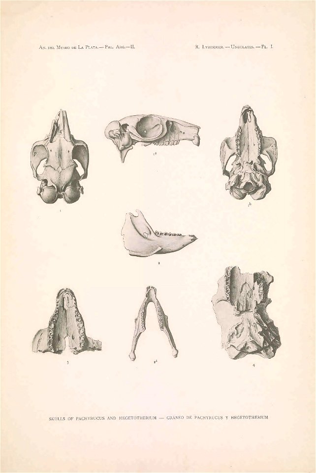 n168_w1150