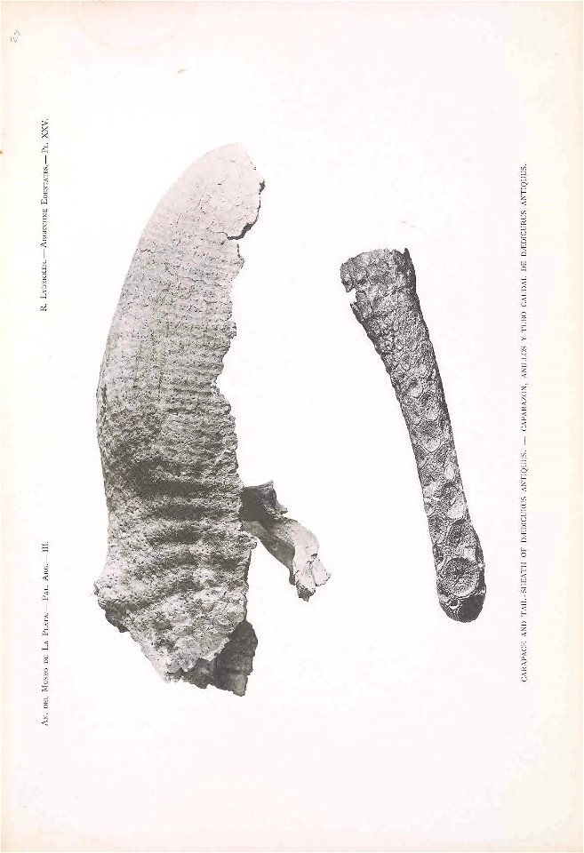 n196_w1150
