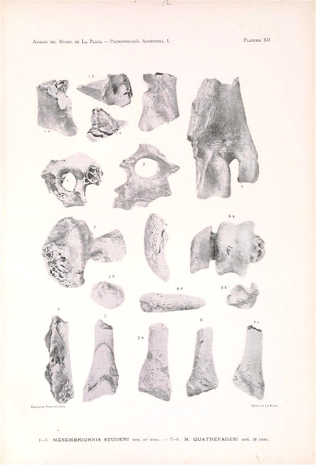 n106_w1150