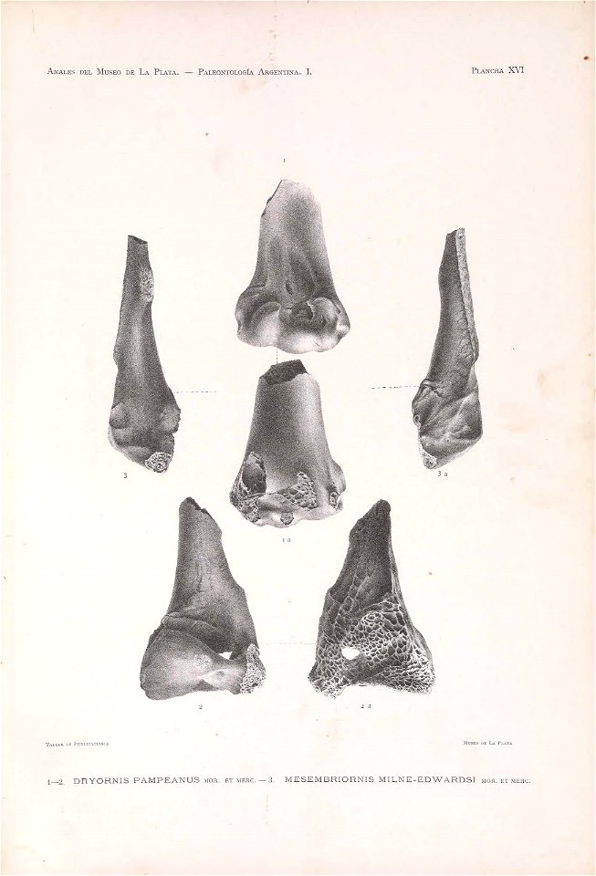 n114_w1150