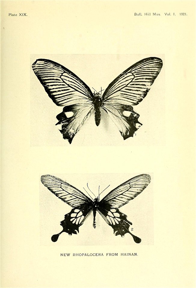 n258_w1150