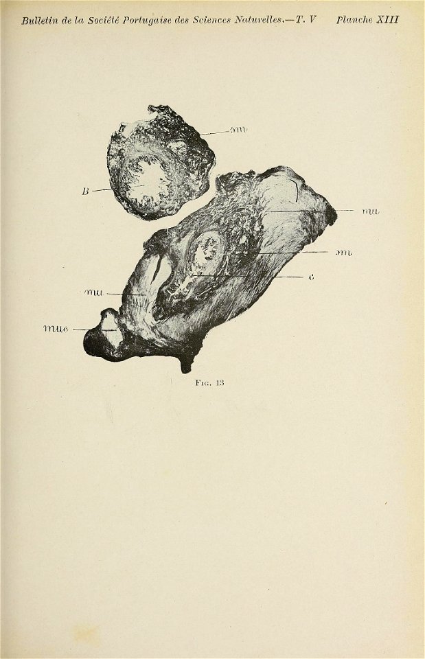 n308_w1150