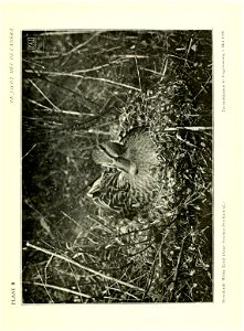 n48_w1150