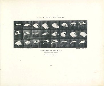 n264_w1150