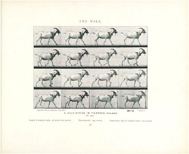 n66_w1150