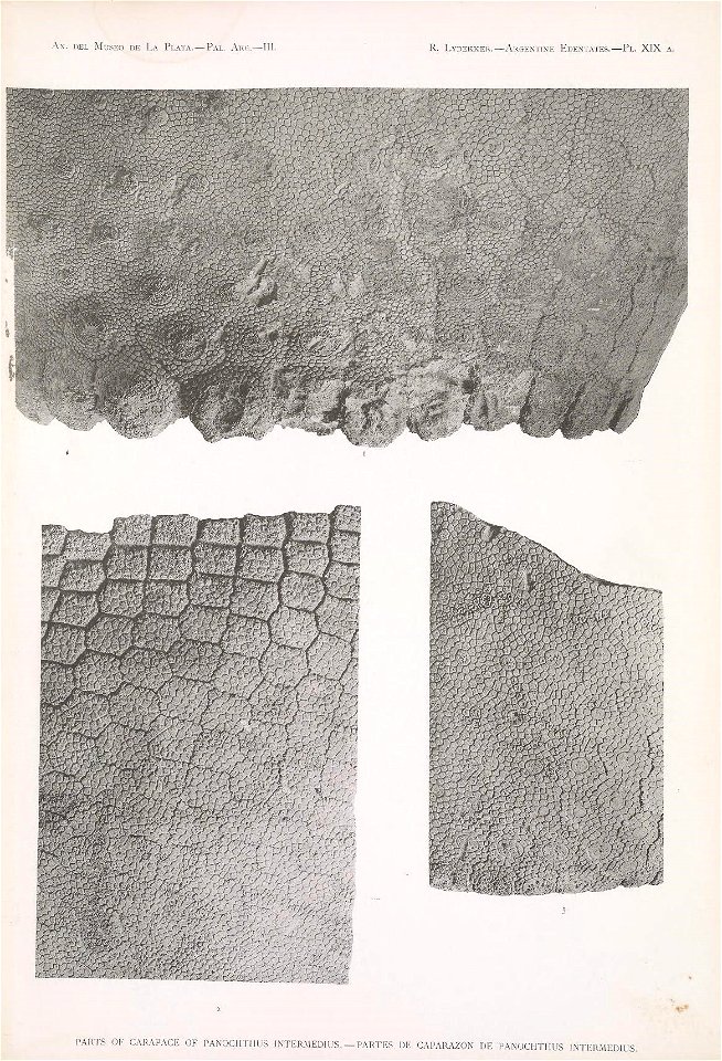 n184_w1150