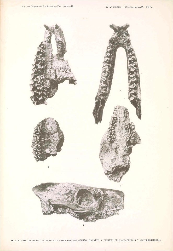 n222_w1150