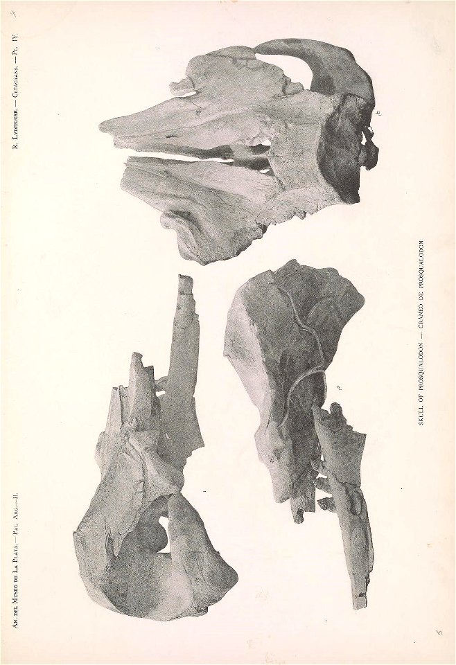 n68_w1150