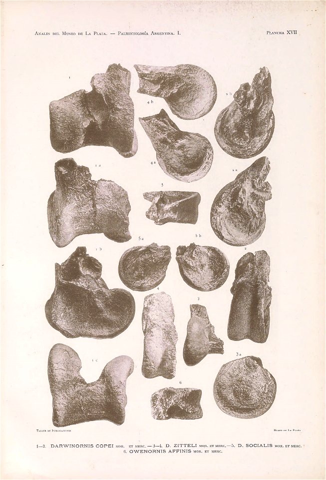 n116_w1150