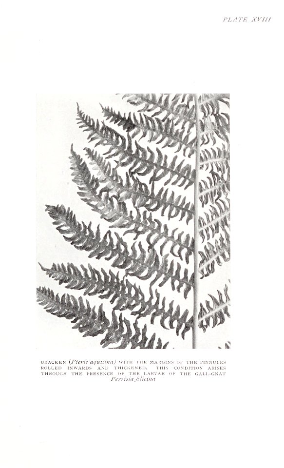n184_w1150