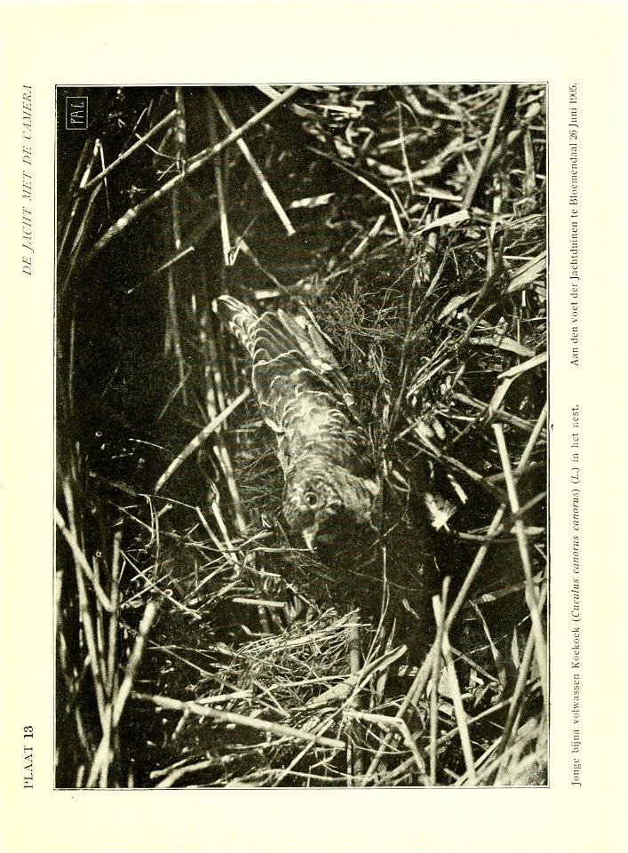 n58_w1150
