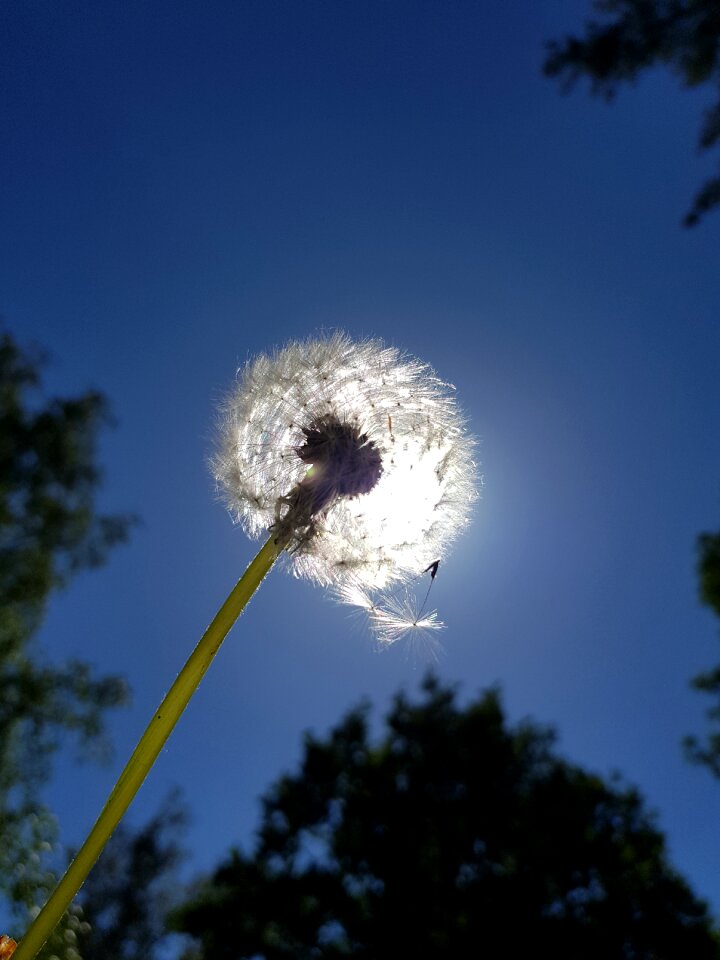 Sky nature in the free