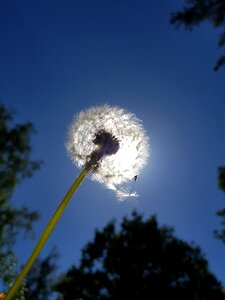 Sky nature in the free