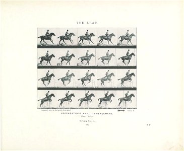 n236_w1150