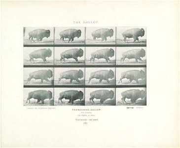 n202_w1150