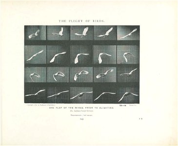 n268_w1150