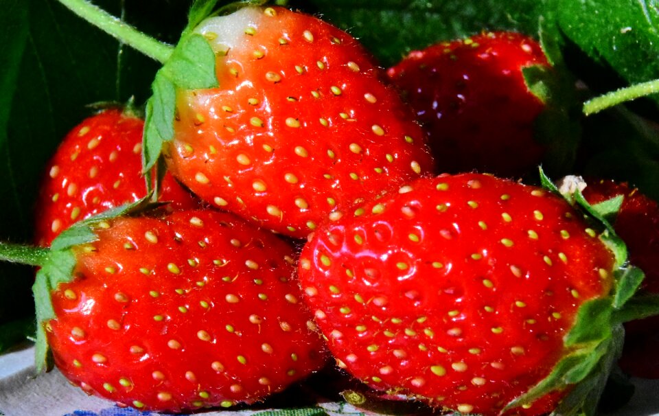 Summer fruit delicious