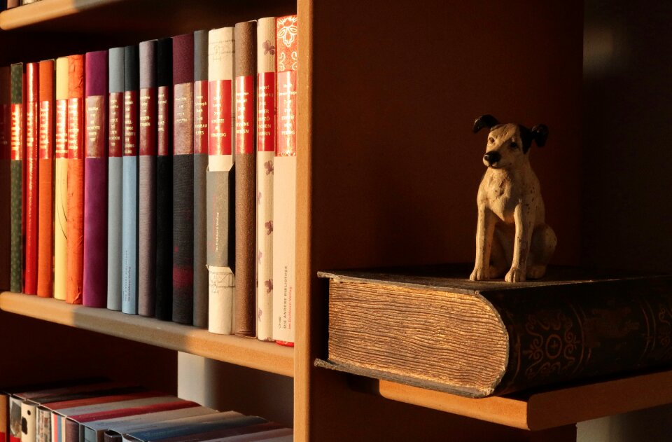 Read dog literature