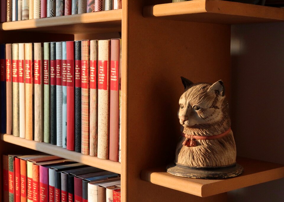 Read cat literature