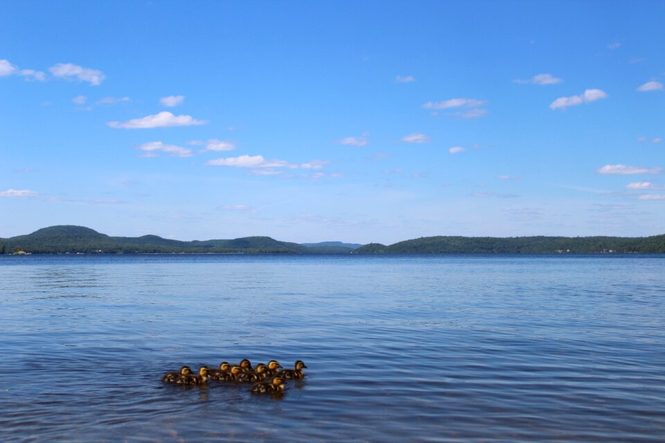 Summer lake beach