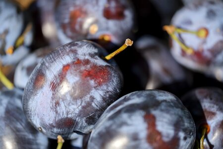 Fruits vitamins healthy